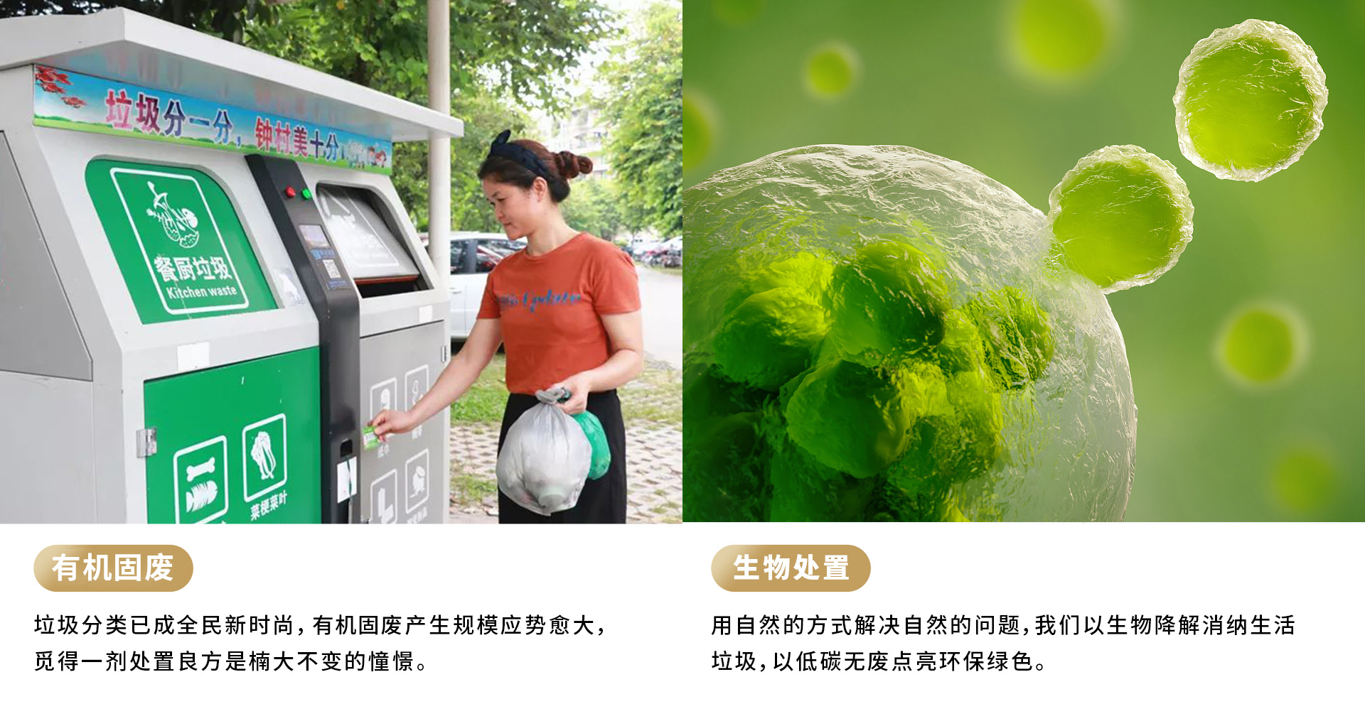 &#21916;&#21033;&#24471;&#40;&#20013;&#22269;&#41;